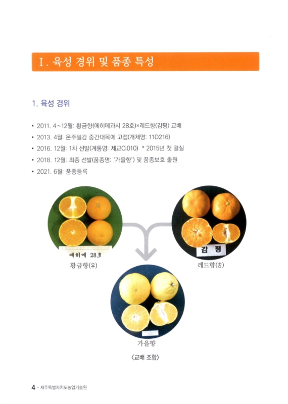 미리보기 이미지 4번째