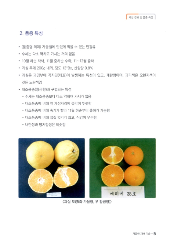 미리보기 이미지 5번째