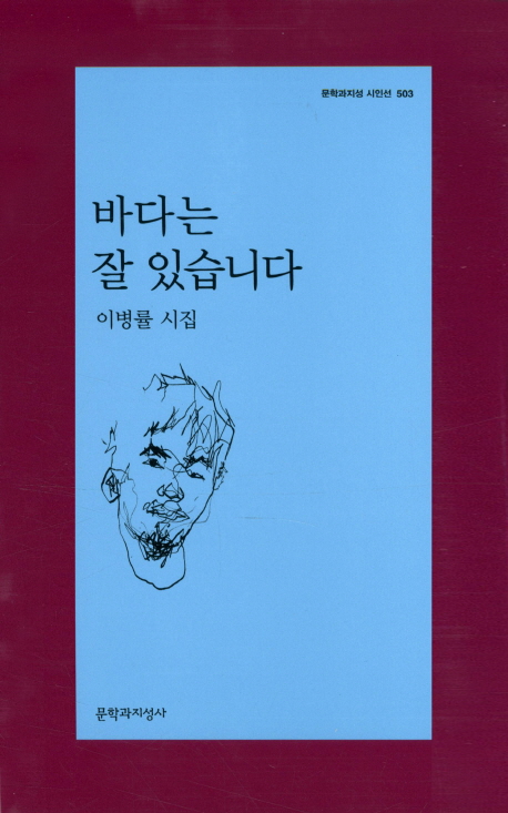 바다는 잘 있습니다 : 이병률 시집