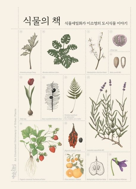 식물의 책 : 식물세밀화가 이소영의 도시식물 이야기 = An illustrated dictionary of urban plants