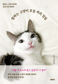 말하는 고양이 호섭 씨의 일일 : 즐겁고, 살짝 애잔한 성장 포토 에세이