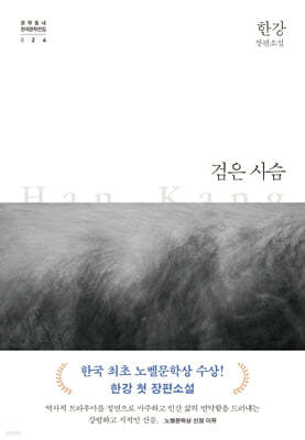 검은 사슴 : 한강 장편소설