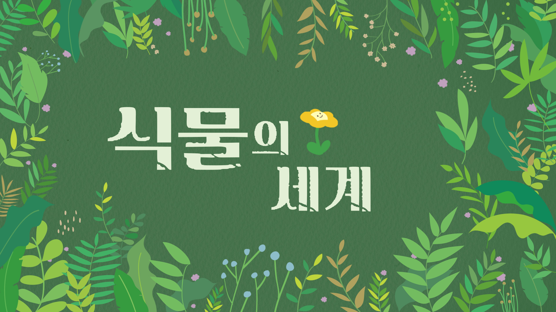 식물의 세계