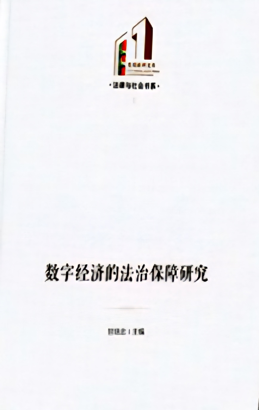 数字经济的法治保障研究