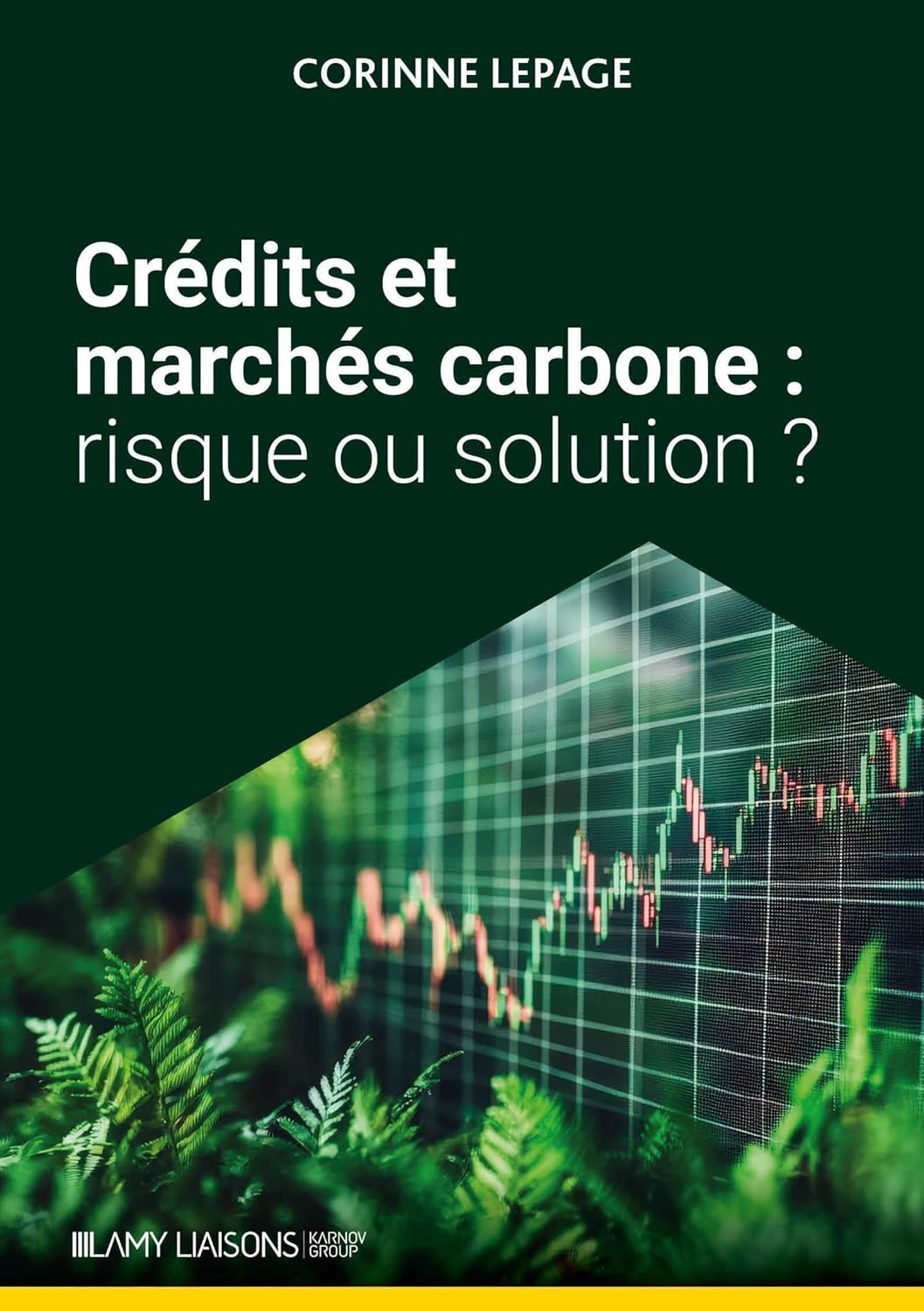 Crédits et marchés carbone : risque ou solution?