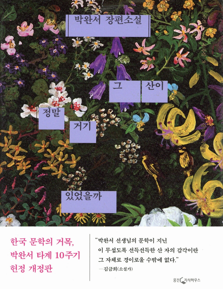 그 산이 정말 거기 있었을까 : 박완서 장편소설