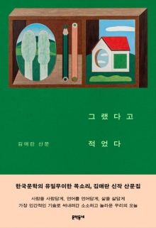 그랬다고 적었다 : 김애란 산문